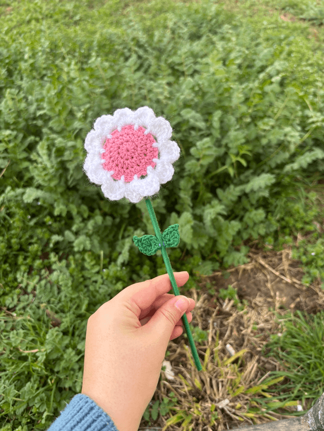 Fleur pop