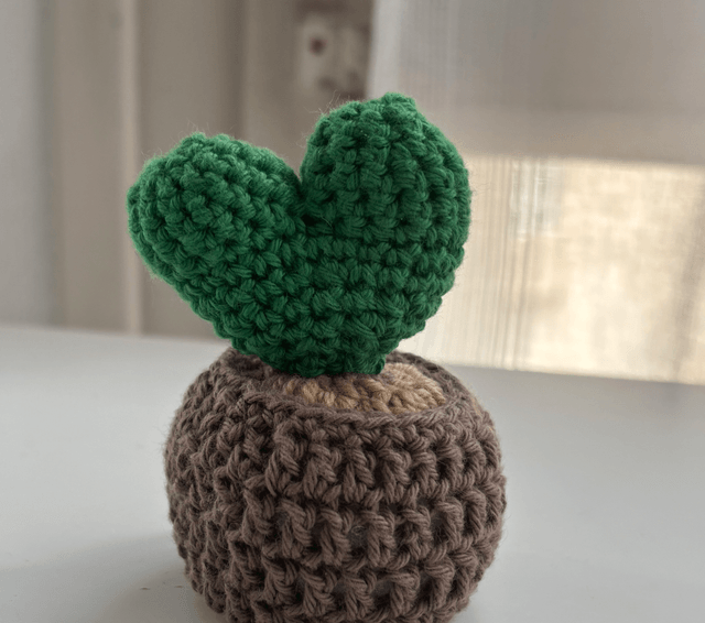 Mini pot cactus