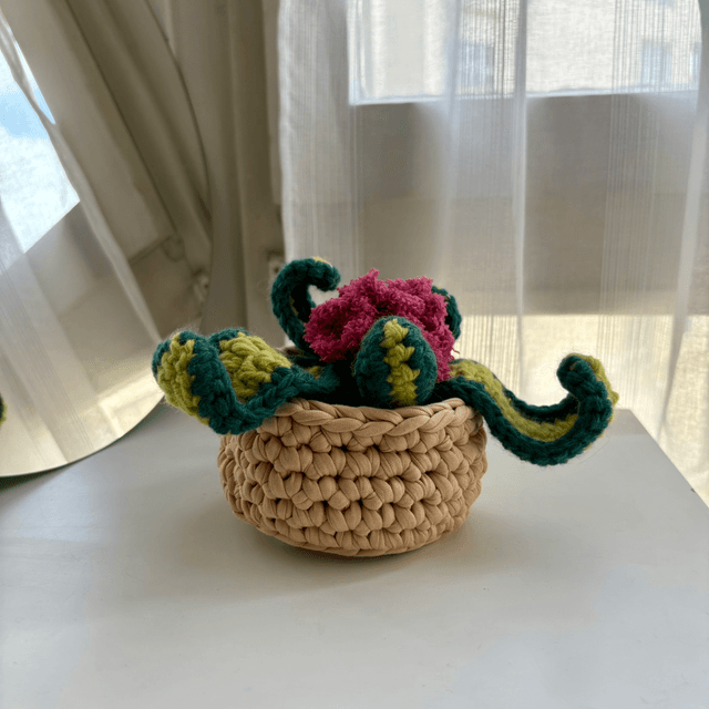 Plante décorative avec fleurs roses