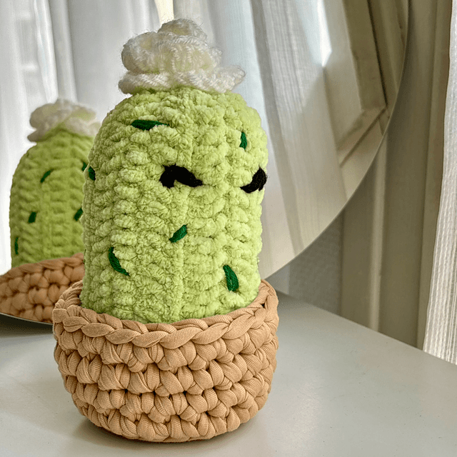 Cactus décoratif