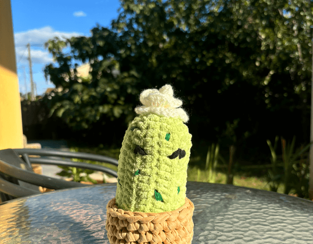 Cactus décoratif