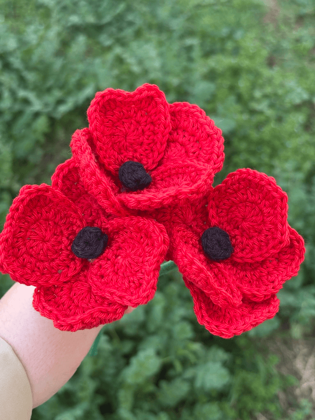 Coquelicot - Trio de fleurs