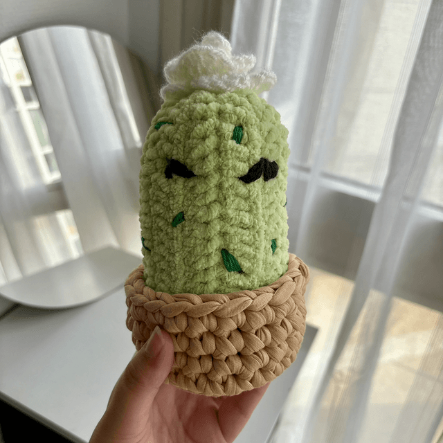 Cactus décoratif