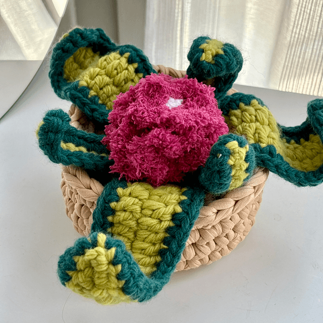 Plante décorative avec fleurs roses