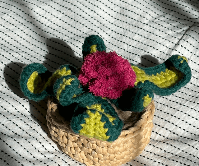 Plante décorative avec fleurs roses