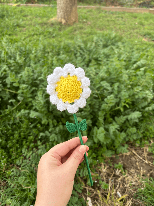 Fleur pop