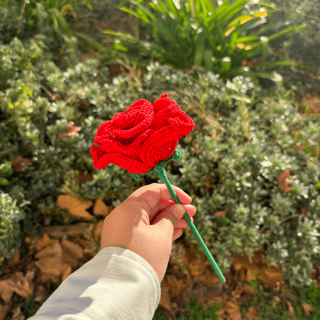 Rose éternelle