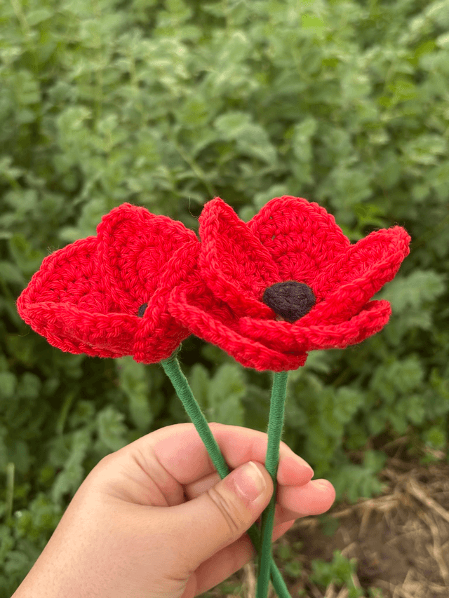 Coquelicot