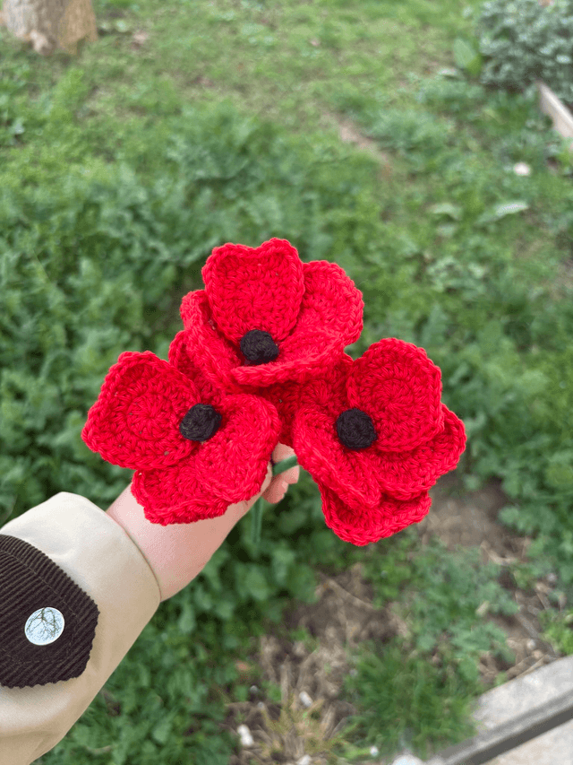 Coquelicot - Trio de fleurs