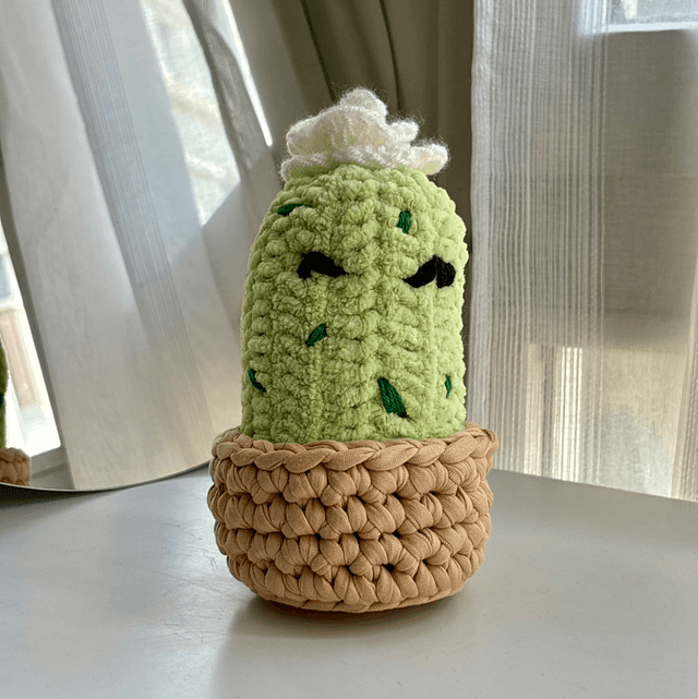 Cactus décoratif