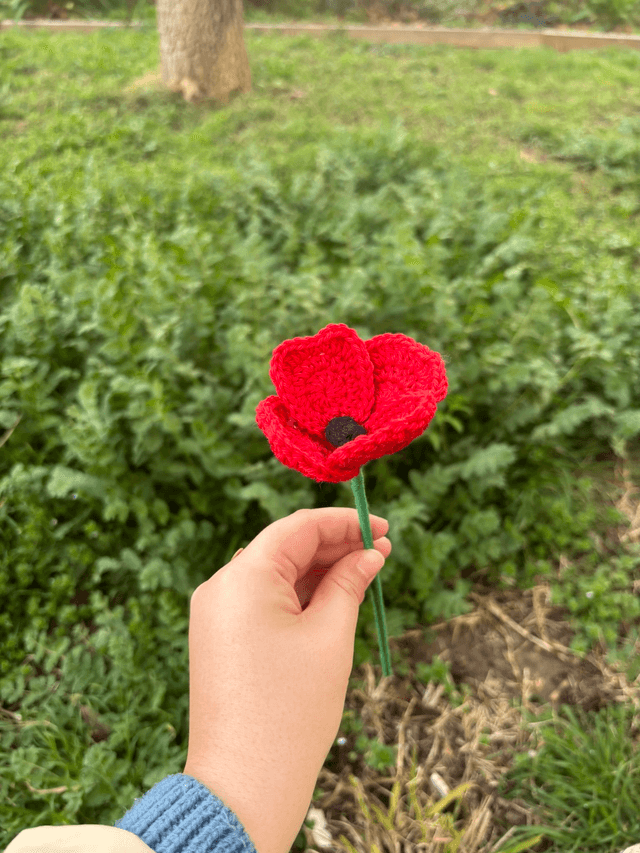 Coquelicot
